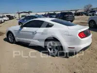2019 Ford MUSTANG photo