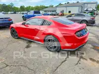 2019 Ford MUSTANG photo
