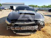 2019 Ford MUSTANG photo
