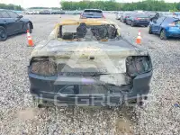 2019 Ford MUSTANG photo