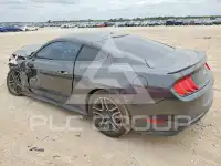 2019 Ford MUSTANG photo