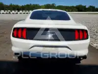 2019 Ford MUSTANG photo