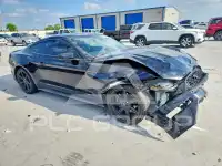 2019 Ford MUSTANG фото