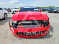 2019 Ford MUSTANG photo