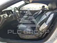 2019 Ford MUSTANG photo