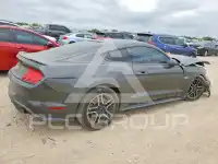 2019 Ford MUSTANG photo