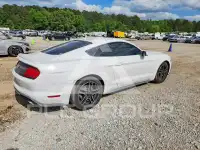 2019 Ford MUSTANG photo