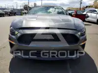 2019 Ford MUSTANG photo
