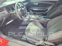 2019 Ford MUSTANG photo