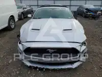 2019 Ford MUSTANG photo