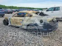 2019 Ford MUSTANG photo