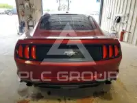 2019 Ford MUSTANG photo