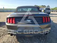 2019 Ford MUSTANG фото
