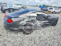 2019 Ford MUSTANG фото