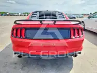 2019 Ford MUSTANG photo