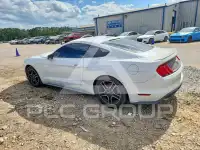 2019 Ford MUSTANG photo