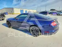 2019 Ford MUSTANG фото