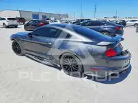 2019 Ford MUSTANG photo