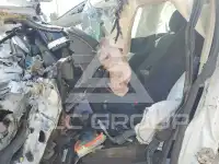 2019 Ford FUSION photo