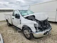 2019 Ford  фото