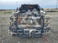 2019 Ford F-350 photo