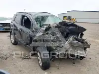 2019 Ford Ecosport фото