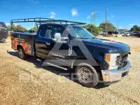 2019 Ford F-250 photo