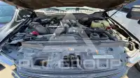 2019 Ford F-250 фото