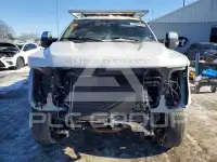 2019 Ford F-250 фото