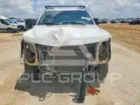 2019 Ford F-250 фото