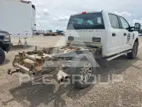2019 Ford F-250 фото