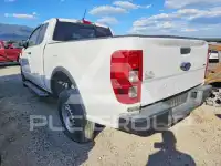 2019 Ford RANGER фото
