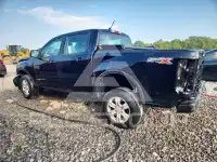 2019 Ford RANGER фото