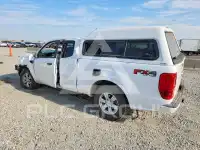 2019 Ford RANGER фото
