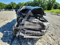 2019 Ford RANGER photo