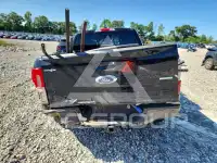 2019 Ford RANGER photo