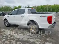 2019 Ford RANGER фото