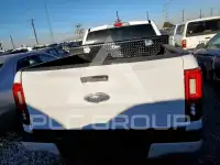 2019 Ford RANGER фото