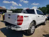 2019 Ford RANGER фото