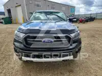 2019 Ford RANGER фото