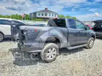 2019 Ford RANGER фото