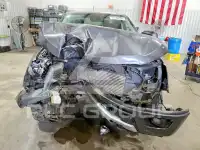 2019 Ford RANGER фото