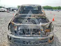 2019 Ford RANGER photo