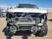 2019 Ford RANGER фото