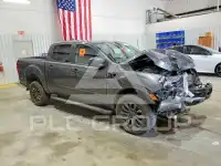 2019 Ford RANGER фото