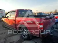 2019 Ford F-150 фото