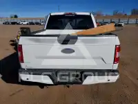 2019 Ford F-150 photo