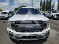 2019 Ford F-150 фото