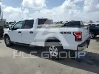 2019 Ford F-150 фото