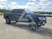 2019 Ford F-150 фото
